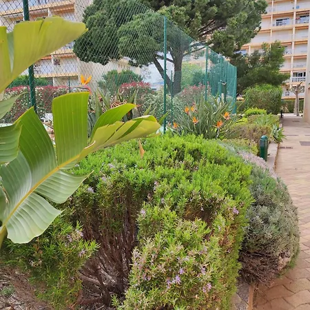 T2- Piscine- Commerces- Plages- Clim Apartment